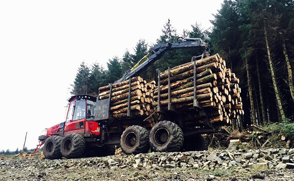 General Education and Training Certificate: General Forestry